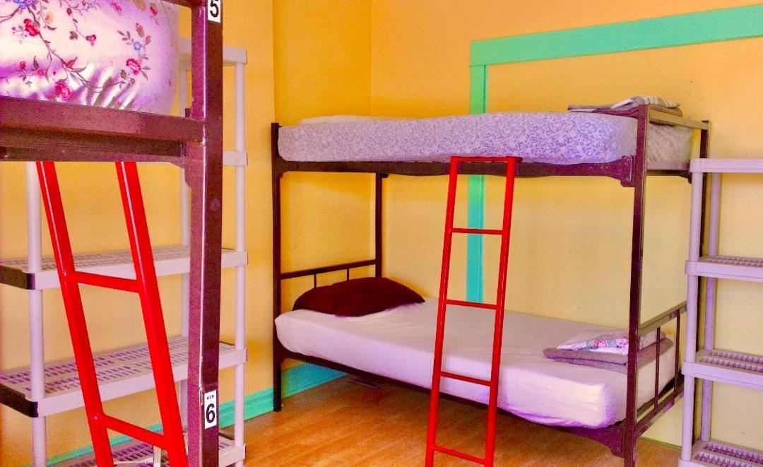 The Only Backpacker's (adults Only) Guest house